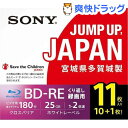 ソニー 11BNE1VSPS2 録画用BD-RE 書換え型 ...