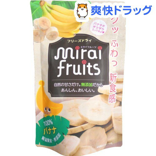ミライフルーツ バナナ(12g)