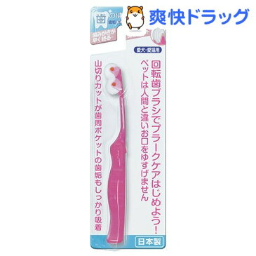 歯垢トルトル 回転歯ブラシ 山切カット 2輪 愛犬・愛猫用(1本入)【歯垢トルトル】