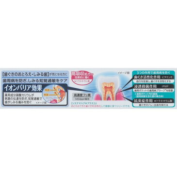 システマ ハグキプラスS ハミガキ(95g)【システマ】