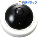 防犯カメラ風センサーライト(1コ入)【送料無料】