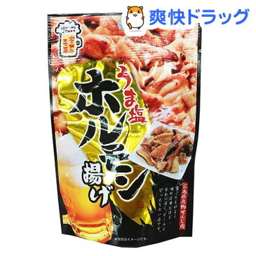 うま塩ホルモン揚げ(20g)