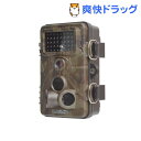 サンコー 自動録画防犯カメラ RD1006AT AUTMTSEC(1セット)