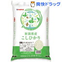 令和元年産 新潟県産コシヒカリ(5kg)【パールライス】