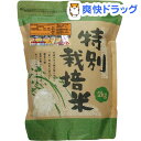 令和元年産 特別栽培米 新篠津あやひめ 白米(2kg)