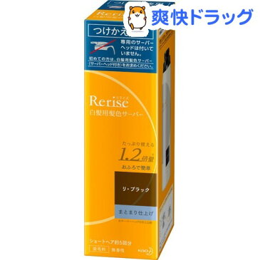 リライズ 白髪用髪色サーバー リ・ブラック まとまり仕上げ つけかえ専用(190g)【リライズ】【送料無料】