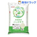 令和3年産 新潟県産コシヒカリ(10kg)【パールライス】[米]