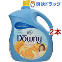 ダウニー サンブロッサム(3.83L*2コセット)【ダウニー(Downy)】[柔軟剤]