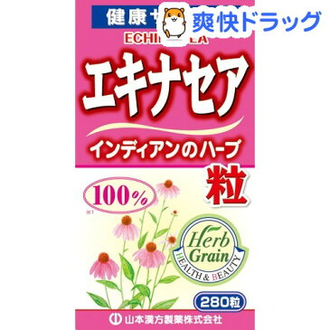 山本漢方 エキナセア粒 100％(280粒)【山本漢方】