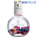 ブロッサム ネイルオイル フラワー ラベンダー(27.3ml)【ブロッサム】