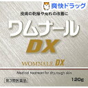 【第3類医薬品】ワムナールDX(120g)【ワムナール】...