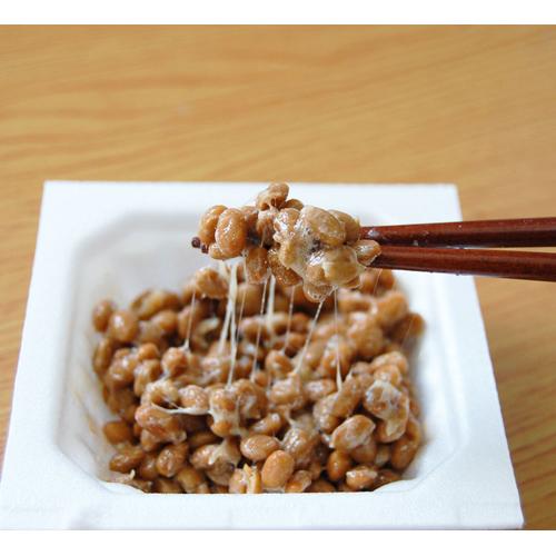 納豆キナーゼ+ココナツオイル30日分(450mg*90粒)【ファイン】