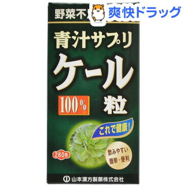 山本漢方 ケール粒100％(280粒)【山本漢方 青汁】