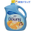 ダウニー サンブロッサム(3.83L)【ダウニー(Downy)】