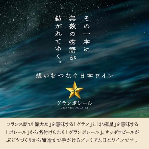 グランポレール 甲斐ノワール(750ml)[日本ワイン 赤ワイン ギフト]