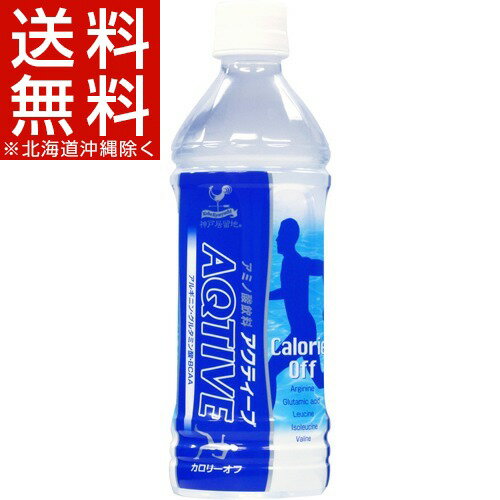 神戸居留地 アクティーブ(500mL*24本入)【神戸居留地】[スポーツドリンク]【送料無料(北海道、沖縄を除く)】