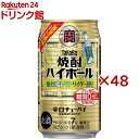 タカラ 焼酎ハイボール 強烈塩レモンサイダー割り(24本入×2セット(1本350ml))