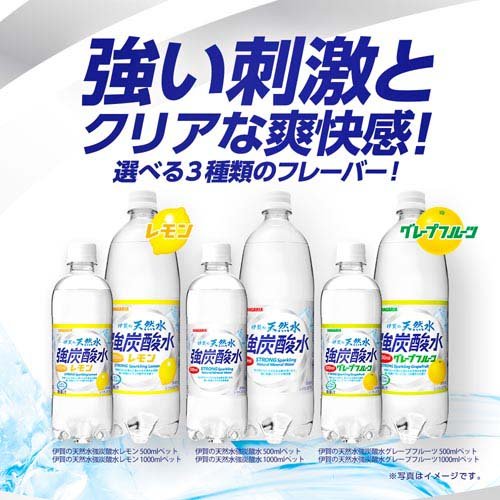 サンプル画像2