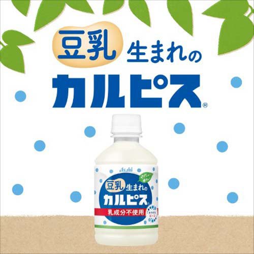 豆乳生まれのカルピス(280ml×24本入)【...の紹介画像2