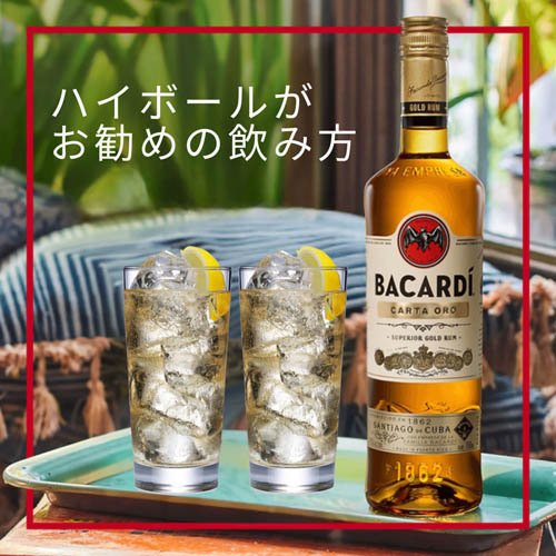 �Х���ǥ� �������(750ml��2���å�)