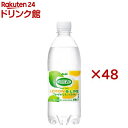 ウィルキンソン タンサン レモン＆ライム(24本入×2セット(1本500ml))