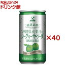 神戸居留地 厳選素材 沖縄県産果汁のシークヮーサーソーダ 缶(20本入×2セット(1本185ml))【神戸居留地】
