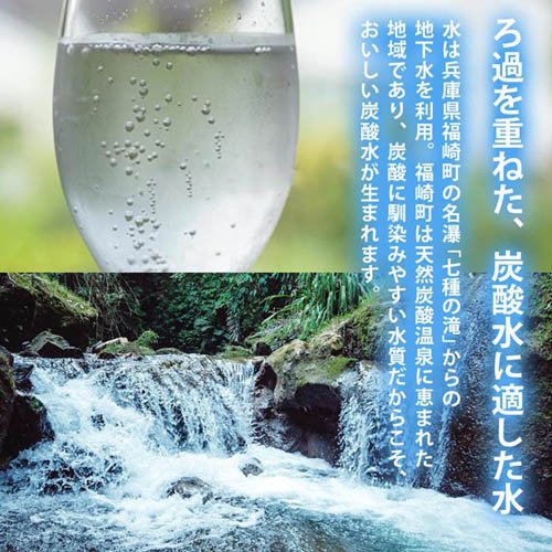 ビッグバーンフーズ 炭酸水 ボトル缶(500ml×24本)