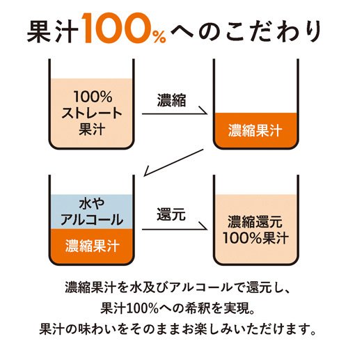 100% カジューハイ アソート 3種 チューハイ 缶 ALC 3%(340ml×12本入)【カジューハイ】