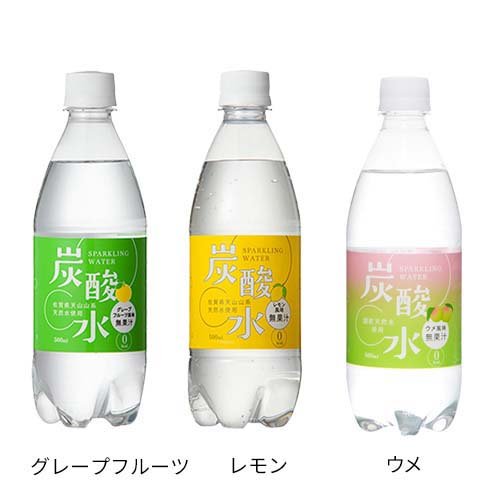 国産 天然水仕込みの炭酸水(500ml*24本入)