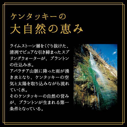 ブラントン ブラック カートン入り(750ml×2セット)