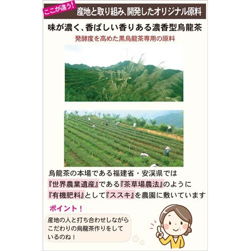 国太楼 豊かな濃く 黒烏龍茶 ティーバッグ(40袋入×3セット)【国太楼】[高発酵茶葉使用 ウーロン茶 大容量]