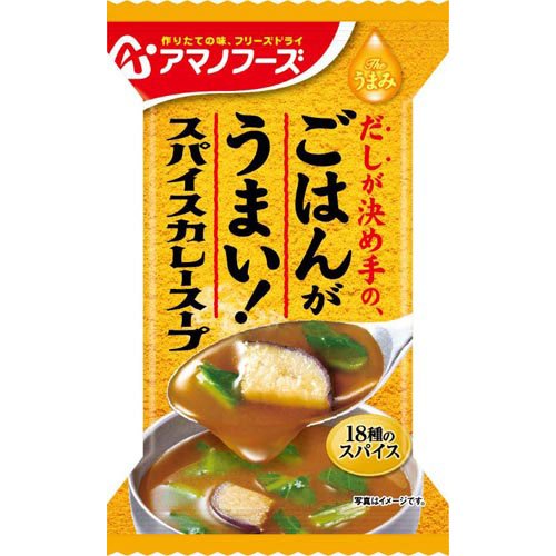 THEうまみ ごはんがうまい！ スパイスカレースープ(10袋入×3セット)【アマノフーズ】