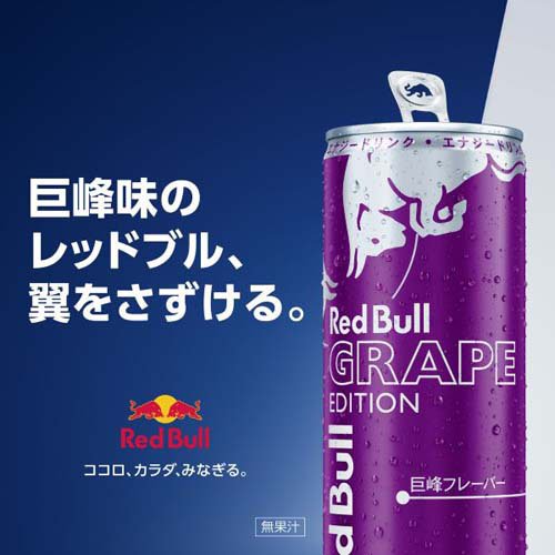 レッドブル・エナジードリンク グレープエディション(24本入×2セット(1本250ml))【...