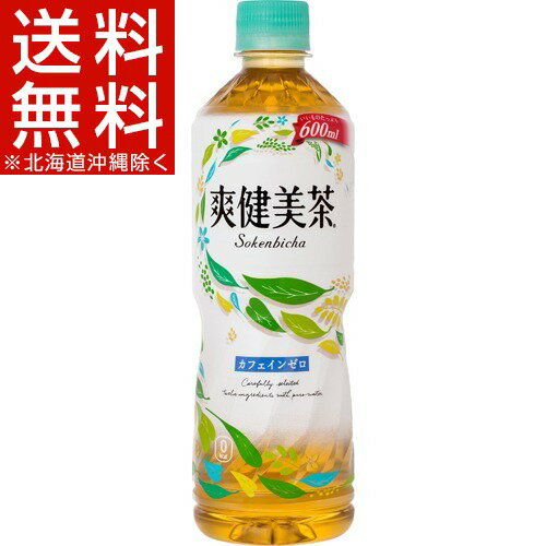 爽健美茶(600mL*24本入)【爽健美茶】【送料無料(北海道、沖縄を除く)】