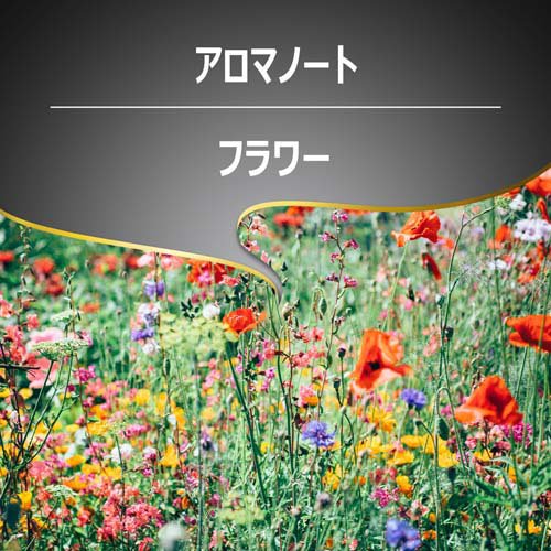 ラバッツァ エスプレッソ バリスタ 豆(500g)【ラバッツァ】[コーヒー豆 大容量 エ...