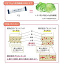 賢者の食卓 ダブルサポート(6g*30包*10コセット)【賢者の食卓】 2