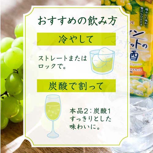 HINODE シャインマスカットのお酒(900ml×6セット)