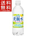 伊賀の天然水 炭酸水 グレープフルーツ(500mL*24本)...