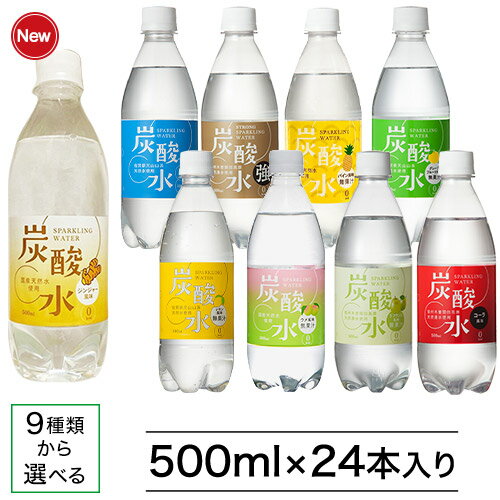 国産 天然水仕込みの炭酸水(500mL*24本入)【送料無料(北海道、沖縄を除く)】