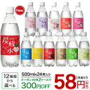 国産 天然水仕込みの炭酸水(500mL*24本入)【送料無料(北海道、沖縄を除く)】【rdkai_04】