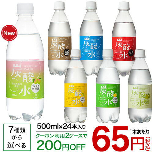 国産 天然水仕込みの炭酸水(500mL*24本入)【送料無料(北海道、沖縄を除く)】【rdkai_04】