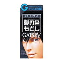 【3980円以上で送料無料(沖縄を除く)】mandom マンダム GATSBY ギャツビー ターンカラー スモーキーブラック