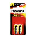 【3980円以上で送料無料(沖縄を除く)】Panasonic パナソニック アルカリ乾電池 単5形 LR1XJ 2B