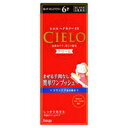 【3980円以上で送料無料(沖縄を除く)】hoyu ホーユー CIELO シエロ ヘアカラーEX クリーム 6P 深いダークピュアブラウン