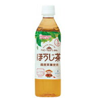 y1P[Xzy(kCEBEꏜ)za xr[̂ ق500ml * 24{Zbg