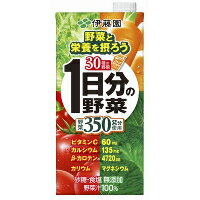 【10000円以上で本州・四国送料無料】伊藤園 1日分の野菜 紙パック 1L *6本入