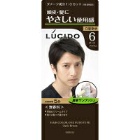 【10000円以上で送料無料（沖縄を除く）】mandom マンダム LUCIDO ルシード ワンプッシュケアカラー ダークブラウン