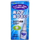 【第2類医薬品】【3980円以上で送料無料（沖縄を除く）】カイゲンファーマ カイゲン点鼻スプレー 30ml [改源(カイゲン)]