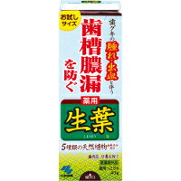 【3980円以上で送料無料（沖縄を除く）】小林製薬 薬用 生葉 お試しサイズ 40g