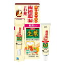 ◆2個セット/【第3類医薬品】【メール便送料無料】小林製薬 生葉 口内塗薬 ぬりぐすり20g